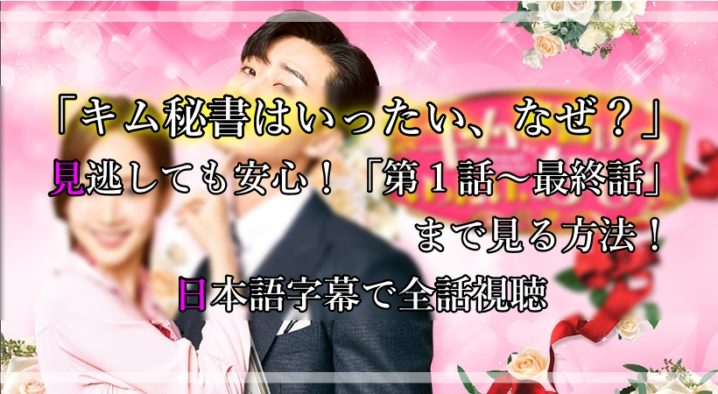 キム秘書はいったいなぜ 見逃しても1から最終話まで見る方法 日本語字幕で全話視聴 アニツリー