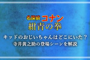 名探偵コナン 業火の向日葵 意味不明でわからない ストーリーの矛盾など糞だと酷評される理由を考察 アニツリー