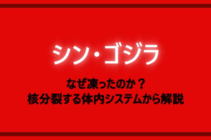 シンゴジラ 石原さとみはいらないしうざい 演技が大根役者でミスキャストなのか考察 漫動ブレンド