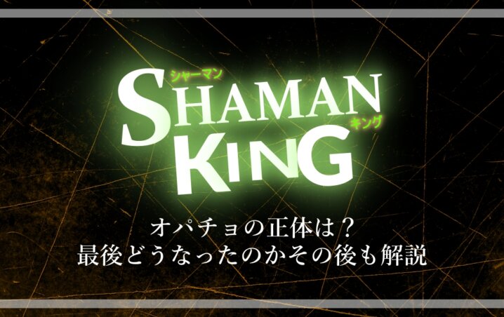 シャーマンキング オパチョの正体は 最後どうなったのかその後も解説 漫動ブレンド