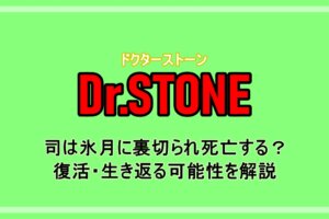 Dr Stone 石神村の御前試合でマグマvs金狼やクロムとの結果は 手下のマントルとの関係も解説 アニツリー