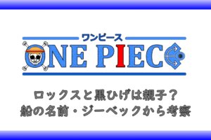 ルフィはゴムゴムの実じゃない ニカニカの実の正体や能力についても アニツリー