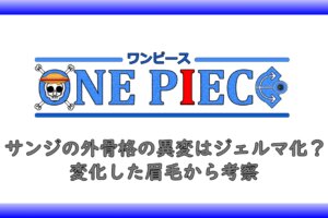クロコダイルはアマゾンリリーの元女帝 女説から正体を考察 アニツリー