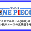 ナミのフルネーム 本名 は アン説やエースの兄弟説を考察 アニツリー